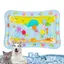 Tapis deau sensoriel pour chats tapis de jeu sensoriel tapis rafraîchissant à capteur deau pour enfants épais pour lété