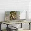 Transparent Terrarium Durable - Résistant aux rayures - avec stockage Transparent 50 x 30 x 30 cm Verre A2748