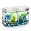 Aquarium de Bureau de Miniature: Petit Aquarium Betta avec Cloison Amovible pour Betta Poisson Rouge - pour Enfants Débutants