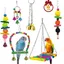 6Pcs Jouet Perroquet Oiseau Suspendu Balançoire Échelle Bois Perchoirs Sepak Takraw Cloches Décoration des Cages à Oiseaux Perruche