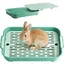 1 Bac à litière Plastique Grille amovible Bord lisse Vert Pour lapin hamster cochon dInde .