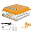 Incubateur dœufs automatique 36 Oeufs Retournement Auto et Ajout dEau Double Alimentation Secteur/Batterie 4 Modes dIncubation