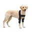 1 coudière respirante pour chien équipement de protection pour animaux de compagnie housse de protection contre les blessures - M