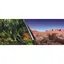 EBI Poster fond daquarium - 60 x 30 cm - Imprimé Jungle / Desert