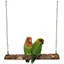 Jouet pour oiseau, Perroquet en Bois Naturel, Jouet Perroquets Perchoir, Jouet De Cage De Perroquet Suspendu