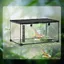 Terrarium pour reptiles Boîte à nourriture pour reptiles Terrarium en verre pour amphibiens arachnides avec thermomètre Boîte dél