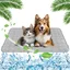 Tapis rafraîchissant pour animaux 70 x 55 cm soie glacée durable doux lavable résistant aux rayures (gris L)