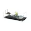 Tartarium 60 new