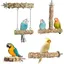 Lot de 4 perchoirs en bois naturel pour oiseaux – À mâcher à grimper et à broyer pour petits oiseaux (perruches calopsittes et