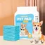 40 Pièces Tapis Absorbant Chien, 60× 60cm Alaise Jetable Alèse Pipi Propreté Educateur Chien Animaux, Aleze Impermeable, Pee Pad