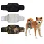 Couches pour chien male - 3 pièces taille L lavables réutilisables Étiquette