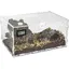 Terrarium acrylique 30x20x15cm pour escargots/reptiles