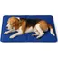 Coussin rafraîchissant - ULISEM - 50 x 65 cm - Gel auto-rafraîchissant - Bleu uni - Pour chiens et chats