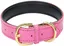 Colliers pour animaux de compagnie en cuir rembourrés classiques de base pour chats, chiots, petits et moyens chiens