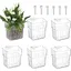 6 Supports à Plantes pour Aquarium en Acrylique: Pots Suspendus Décoratifs avec Ventouses Système de Culture pour Décoratio
