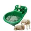 Abreuvoir Automatique Animal - 1 500ml Chien Cheval Mouton Chèvre Bétail Cuneary