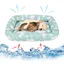 Coussin rafraîchissant pour animaux de compagnie coussin de glace auto-refroidissant non toxique pour animaux de compagnie