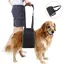 Harnais de Soutien pour Chien Âgé Ceinture de Levage pour Chiens Handicapés Noir Aide à Monter et Descendre