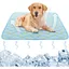 Tapis rafraîchissant pour animaux 70 x 55 cm antidérapant lavable doux adapté aux lapins (banane)