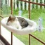Hamac pour Chat - KZQ - 60 x 30 cm - Acier Inoxydable - Ventouses Stables - Pliable
