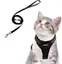 Laisse et harnais pour petit chien et chat, réglable, gilet respirant avec attache et laisse pour Maine Coon et Persan