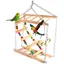 Aire de jeux pour oiseaux échelle suspendue pour animaux de compagnie balançoire descalade à double couche pour perruche