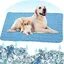 Tapis rafraîchissant pour animaux de compagnie adapté aux chats et aux chiens durable et facile à refroidir