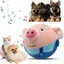 Jouet pour Chien Interactif, Jouet en Peluche Actif en Mouvement, Jouet de Balle Rebondissante pour Chiens,Interactive(Blue Pig)