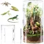 Cylindrical Terrarium 360° Transparent Vivarium - Acrylic Phasm Terrarium Breeding Box for Reptiles Spider Snails L