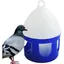 Abreuvoir pour Pigeons Fontaine à Eau pour Oiseaux 2 litres  Abreuvoir Anti-Renversement Démontable pour Volière