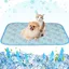 Tapis rafraîchissant pour animaux de compagnie adapté aux chats et aux chiens non toxique portable lavable confortable