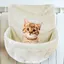 Hamac pour chat, lit suspendu, panier suspendu, rebord de fenêtre, cage solaire, nid chaud d'hiver, fournitures pour chats
