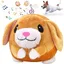 Jouet de Balle Rebondissante pour Chiens 17x12cm Peut faire des sons et sauter Jouet pour Chien Peluche Pet Balle en Peluche