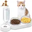 Gamelles pour Chats 3 en 1 à Stockage Deau Automatique Bols pour Chat Inclinable à 15° Double Gamelle Chat Surélevée