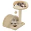 Automne/hiverArbre à chat avec griffoir en sisal 40cm Beige et Marron - HAuteur:40cm - Grande Taille &FR_758049