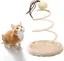 Jouet interactif pour chat avec plaque spirale et souris amusant et créatif pour stimuler lexercice et la forme.
