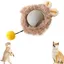 Jouets pour chat balle roulante pour chien jouet à mouvement rapide jouets interactifs rechargeables par USB (peluche grise pzcc