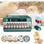 Couveuse Oeuf Automatique 36, Incubateur Automatique pour Poules avec Retournement Automatique des œufs, Contrôle de la Température