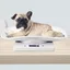 Balance numérique - Keeper - 10kg - Précision 1g - Pour animaux - Portable