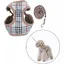 Harnais et laisse pour petit chien - PZCC - XS - Respirant - Confortable - Réglable - Tissu maille douce