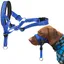 Licol pour chien avec tissu rembourré, collier pour chien, XL