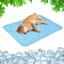 Tapis rafraîchissant pour chiens et chats  Bleu (Grand)  70 x 55 cm  Tapis rafraîchissant sans gel toxique  Effet rafraîchissant