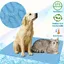 Tapis refroidissement et coussin pour chat et chien 2025 - Fond absorbant - Bleu - XXL 150x100 cm bleu CORBEILLE
