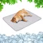 Tapis rafraîchissant pour animaux de compagnie - PZCC - XS - Refroidissant - Étanche - Facile à nettoyer