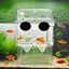 Boîte délevage pour aquarium poissons daquarium incubateur transparent à double paroi avec ventouses