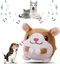 Jouets interactifs pour chiens, balles rebondissantes, peluches (hamster)