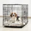 Cage de transport pliable pour chien 90x57x63cm Taille L