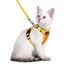 Harnais Chat Laisse Pour Chat Harnais Pour Petit Chien Souple et Réglable Veste Bandes Réfléchissantes Orange et Jaune XXS