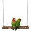 Balançoire en Bois pour Oiseau Balançoire Perroquet Jouets pour Oiseaux en Bois Pomme Naturel Balançoires à Oiseaux pour