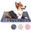 Tapis Chien Lit Chat Coussin Lavable pour Animaux de Compagnie 60X46cm Idéal pour Petits Moyens Chiens et Chats